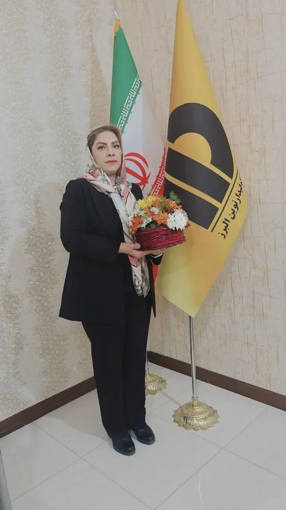 روز حسابدار