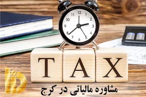 مشاور مالیاتی در کرج در حال بررسی پرونده مالیاتی