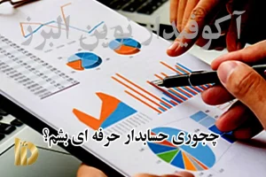 حسابدار حرفه ای