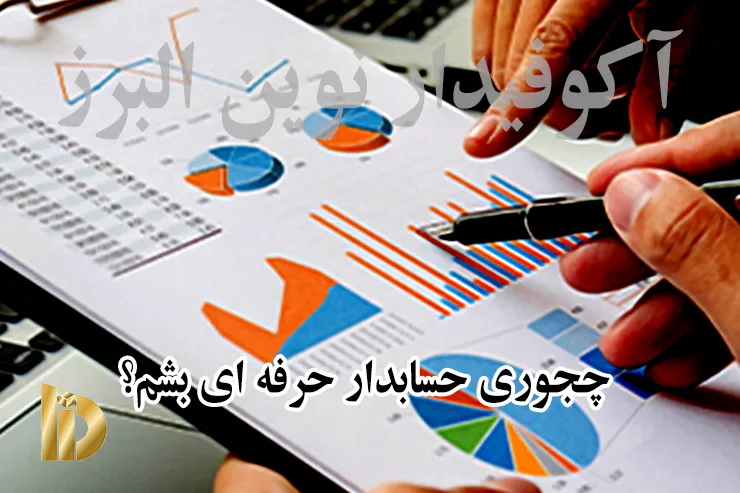 چجوری حسابدار حرفه ای بشم؟