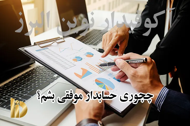 حسابدار موفق